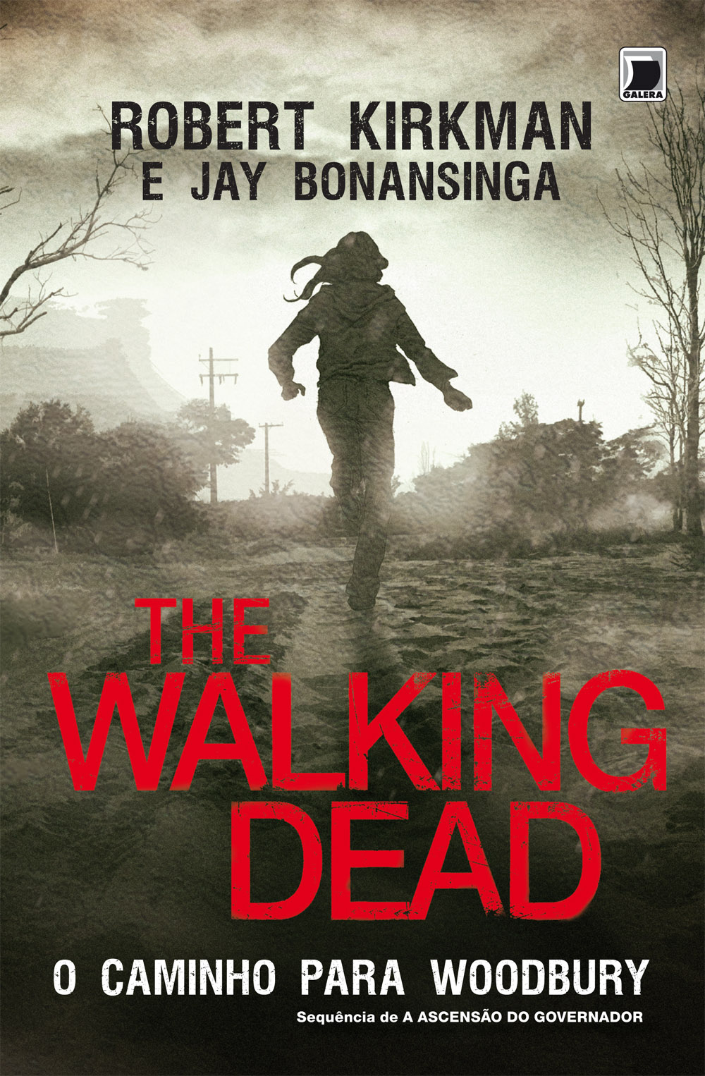 Download O Caminho Para Woodbury The Walking Dead Vol. 2 Robert Kirkman